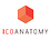 ICOAnatomy